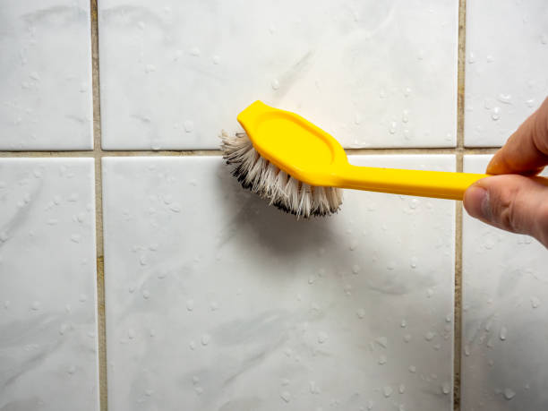 Best Professional Mold Removal  in Summerfield, MD