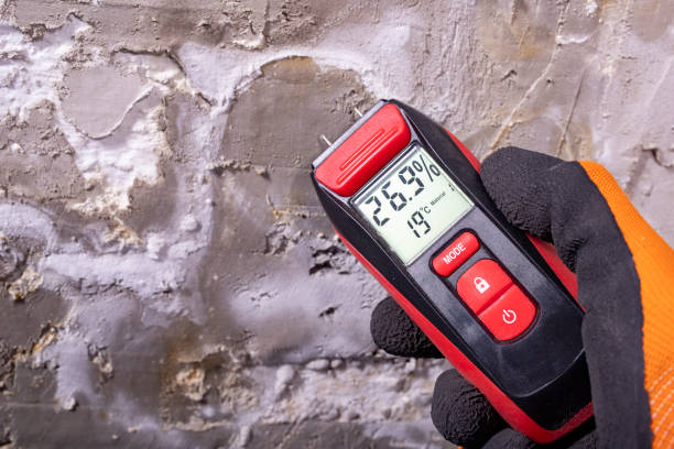 Best Attic Mold Removal  in Summerfield, MD