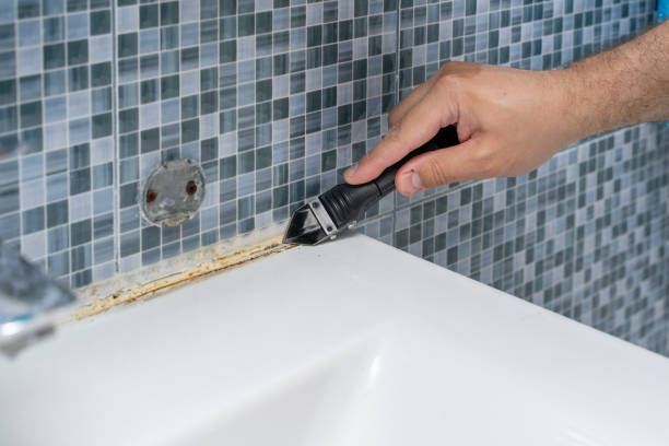 Mold Removal Process in Summerfield, MD
