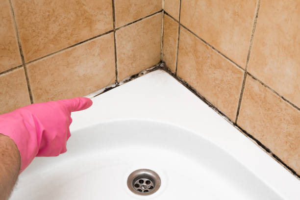 Best Residential Mold Removal  in Summerfield, MD